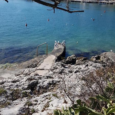Villa Maja Trogir Zewnętrze zdjęcie
